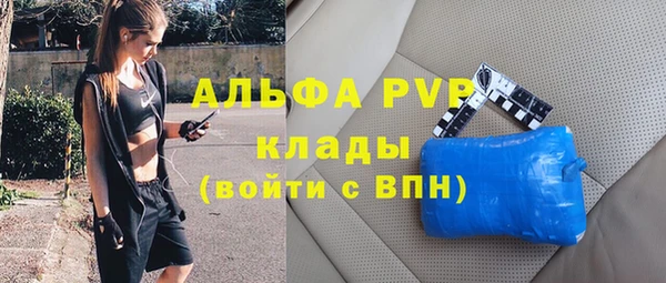 амф Белокуриха